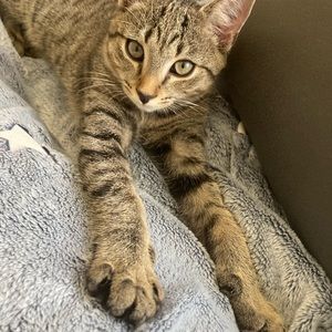 Meet your Posher, Anna